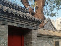 -后海公园