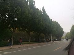 -河南财经政法大学(郑东校区)