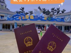 -海合安成都极地海洋公园