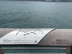 -星光大道