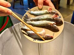 -石锅苗苗鱼(武汉首店)