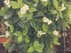 -东方之珠洗浴休闲广场(南开店)