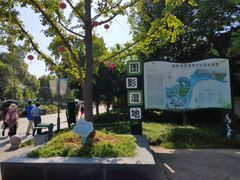 -长兴太湖图影湿地文化园