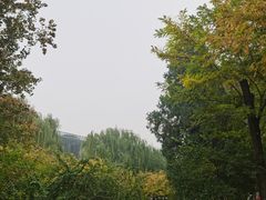 -元大都城垣遗址公园