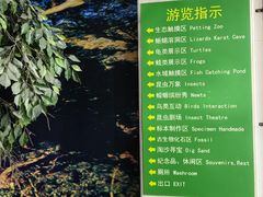 -上海大自然野生昆虫馆(东方明珠·爬宠昆虫探索中心)