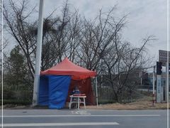 -金岛生态园烧烤露营地