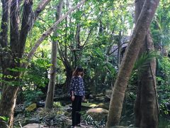 -绿光森林餐厅
