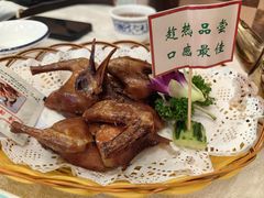 -津津名菜馆(绝没分店)