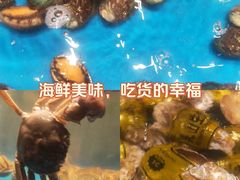 -SEA西雅图海鲜自助餐厅(海乐世界店)