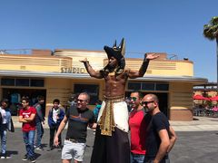 -木乃伊复仇过山车