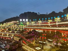 -枇杷园食为鲜火锅(南山店)