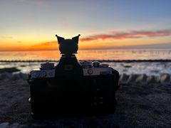 -南汇新城海滩