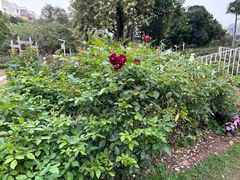 -人民公园(罗湖区)