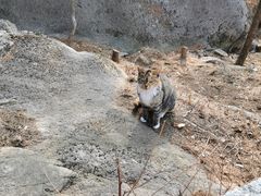 -崂山巨峰游览区