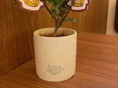 -CURRY YA 熟成咖哩專門店(深圳湾万象城店)
