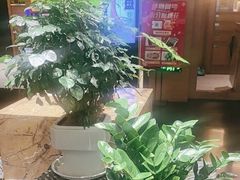 -黔蘑菇四季餐厅(观山湖店)