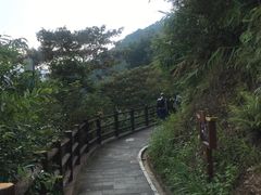 -羚羊峡古栈道森林公园