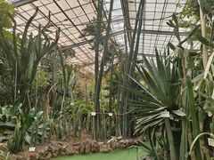 -呀路古热带植物园