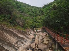 -广州白江湖森林公园