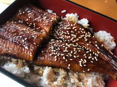 鳗鱼饭-将军日本餐厅·Shogun(厦门马哥孛罗东方大酒店)