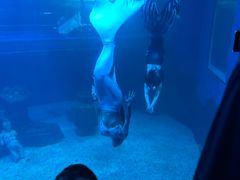 -太平洋海底世界