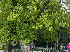 -中国人民大学游泳馆