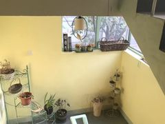 -Jo's Garden