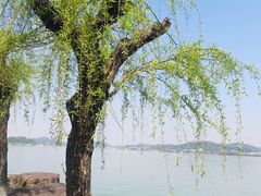 -东钱湖旅游度假区