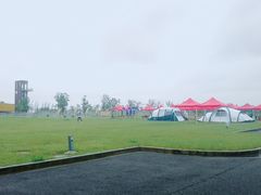 -春花秋色城市公园