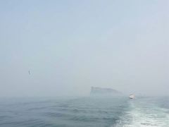 -长岛万鸟岛