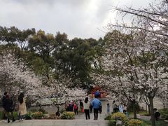 -南山植物园