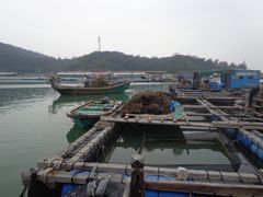 -海上驿站渔家菜馆