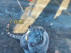 -石家庄市动物园