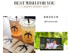 -TrueLove @ Neverland (Husky Cafe)