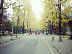 -四川大学(望江校区)