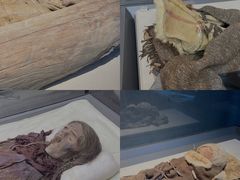 -巴音郭楞蒙古自治州博物馆