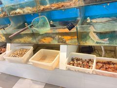 -颐和海鲜·饺子馆