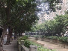 -杨箕村B区
