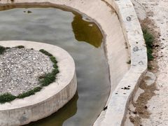 -青藏高原野生动物园