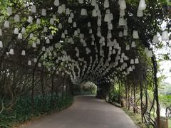 -森波拉奇妙世界