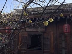 -胡氏古民居建筑