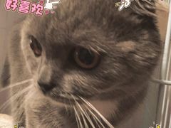 -Oh My Dog宠物沙龙(伊珊娜皮毛护理店)