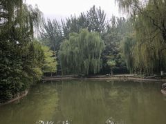 -西安市长乐公园
