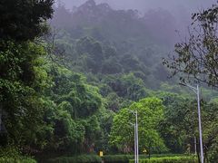 -火炉山森林公园