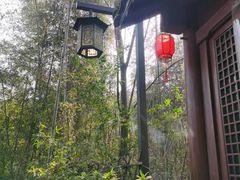 -杭州半山国家森林公园