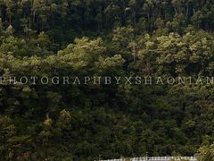 -深圳仙湖植物园