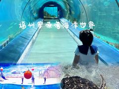 -福州罗源湾海洋世界旅游区