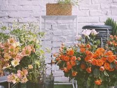 -大象厨房(重庆道店)