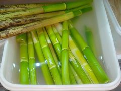 -老味道1992(武当山店)