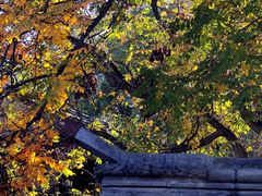 -元大都城垣遗址公园